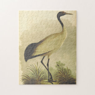 Bird Standing on the Ground Puzzle