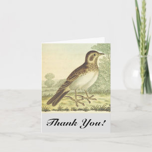 Bird Standing on the Ground, "Thank You!" Card