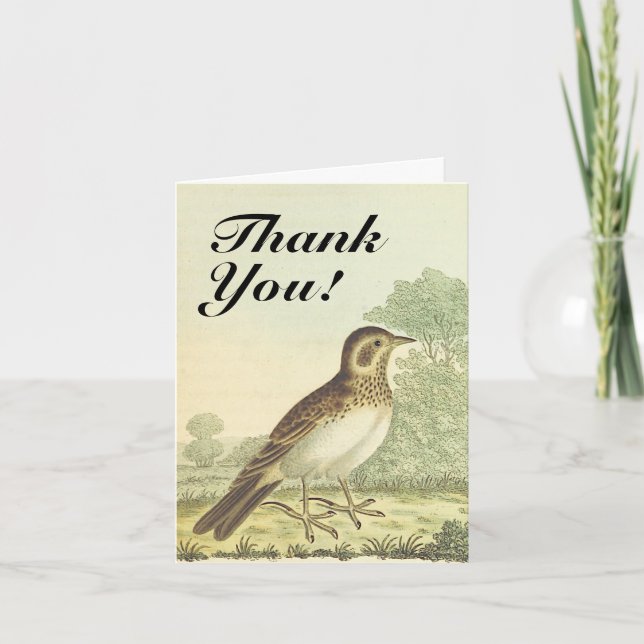 Bird Standing on the Ground, "Thank You!" Card (Front)
