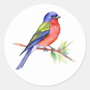 Bird  Stickers Painted Bunting