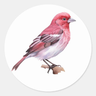 Bird  Stickers Purple Finch