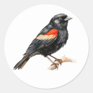 Bird Stickers Red-winged Blackbird