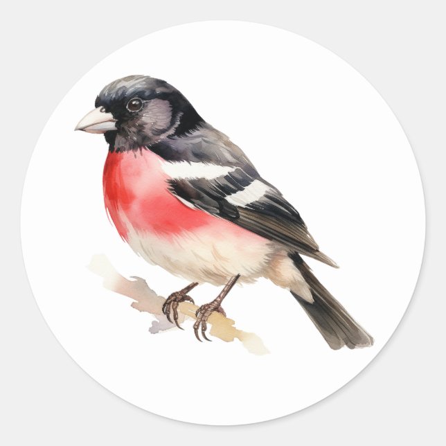 Bird Stickers Rose-breasted Grosbeak (Front)