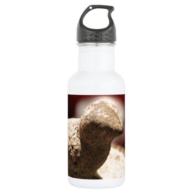 Bird Stone 532 Ml Water Bottle (Front)