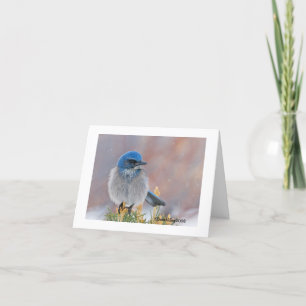 Bird Sympathy Card