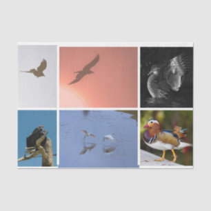  Bird Theme Crow Duck Condor Egret Mixed Media Tissue Paper