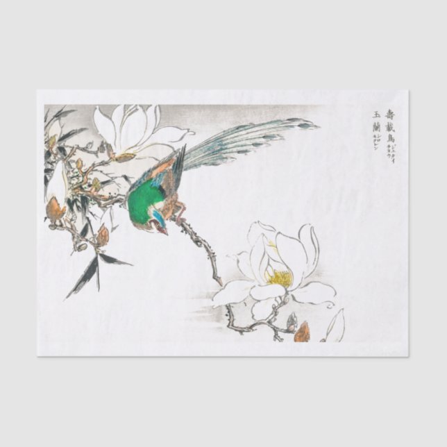 Bird Tropical Vintage Art Tissue Paper (Front)