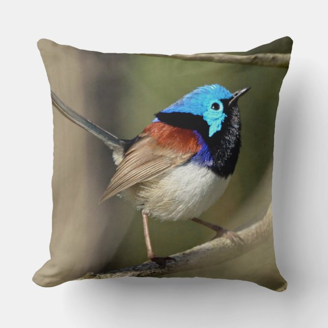Bird - Variegated Fairywren Cushion (Front)
