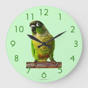Bird Wall Clock