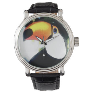 Bird Watch