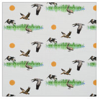 Bird Watcher Pelicans