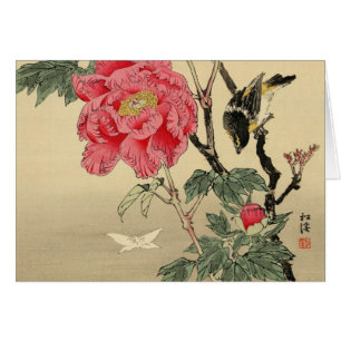 Bird watching a butterfly