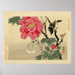 Bird watching a butterfly poster