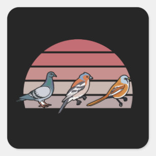 Bird Watching Retro Square Sticker