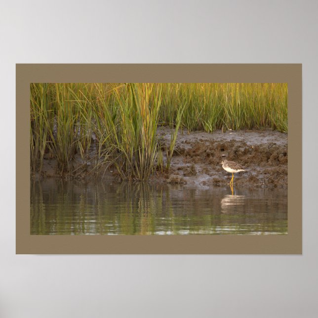 Bird Waterscape Photo Poster (Front)