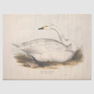 Bird White Swan Ephemera Decoupage Vintage Tissue Paper