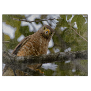 Bird Wildlife, Roadside Hawk Belise Cutting Board