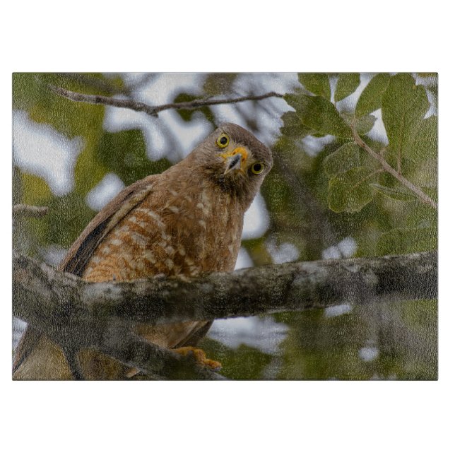 Bird Wildlife, Roadside Hawk Belise Cutting Board (Front)