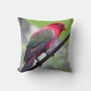 Bird Wings Branches Spring Garden Faith Cushion