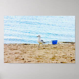 Bird with Sand Pail Poster