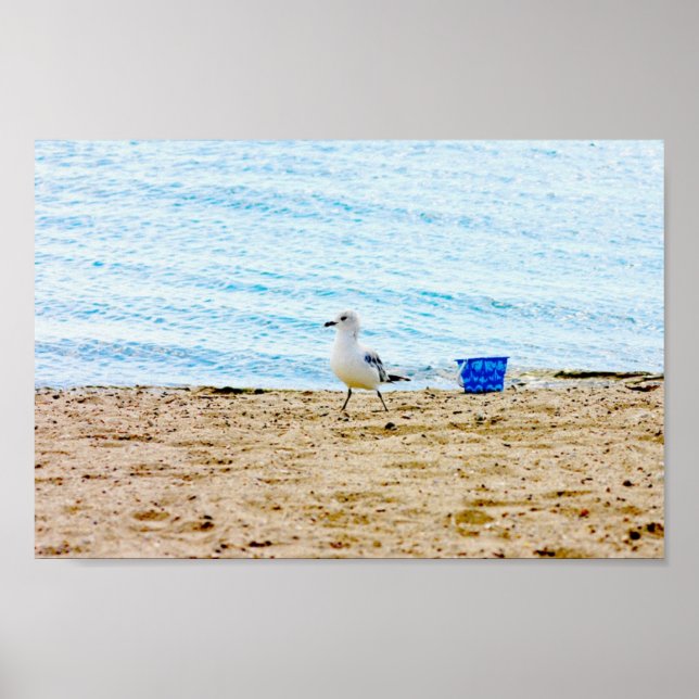 Bird with Sand Pail Poster (Front)