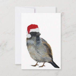 Bird with Santa hat Holiday Flat Card