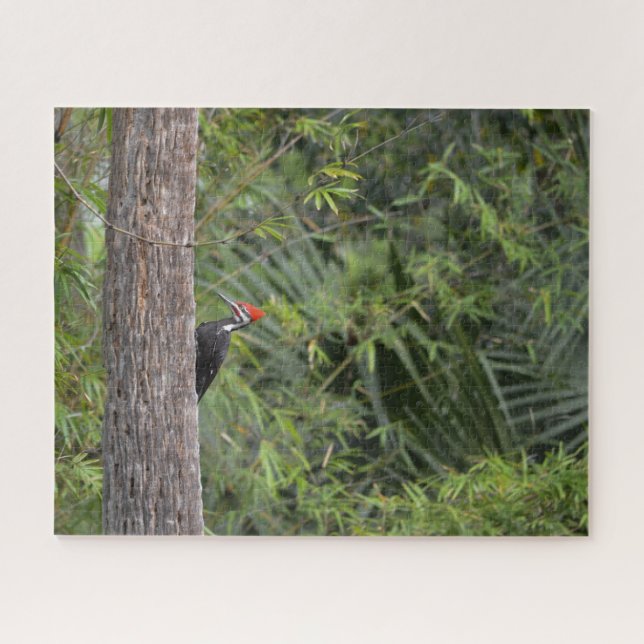 Bird Woodpecker Nature Wildlife Cute Animal Photo Jigsaw Puzzle (Horizontal)