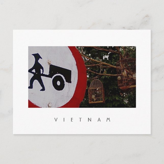 Birdcages Postcard (Front)