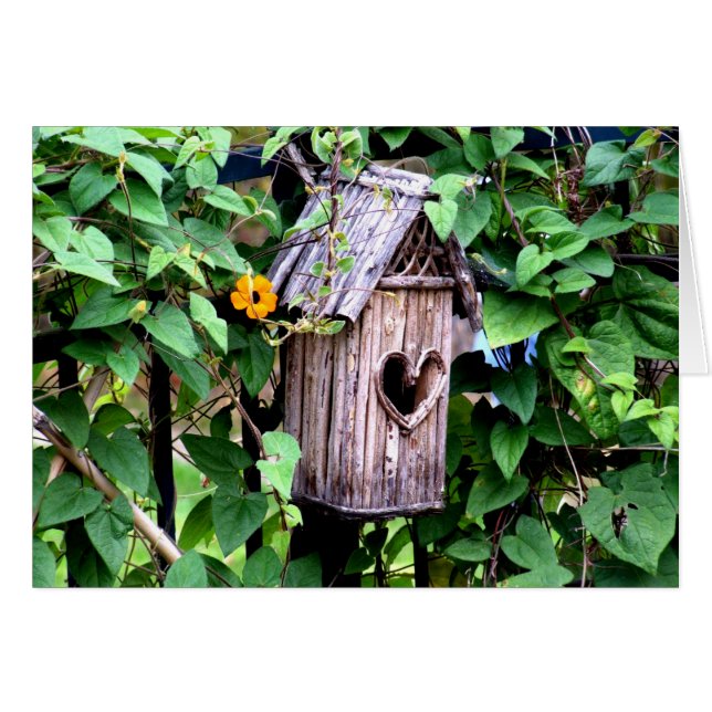 Birdhouse (Front Horizontal)