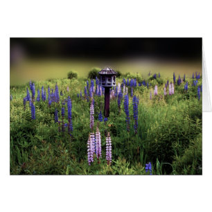 Birdhouse and Lupines