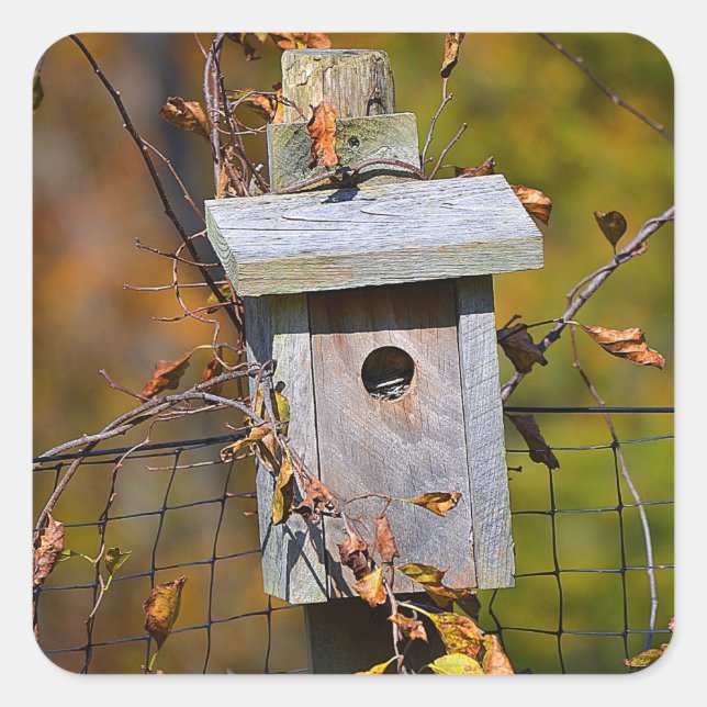 Birdhouse In Autumn Sticker (Front)