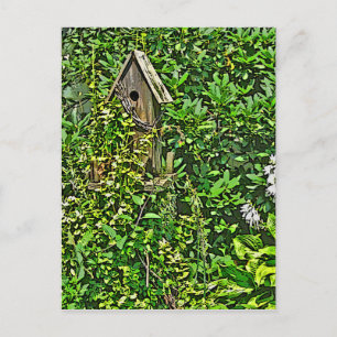 Birdhouse in Garden Postcard