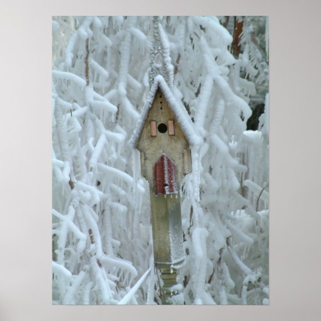 Birdhouse in ice encrusted tree poster (Front)