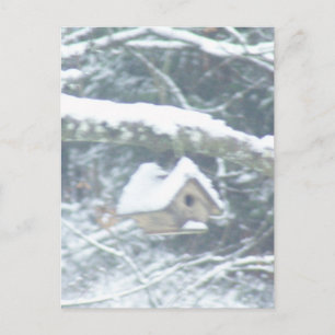 birdhouse in the snow postcard