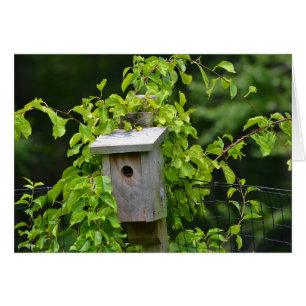 Birdhouse Notecard