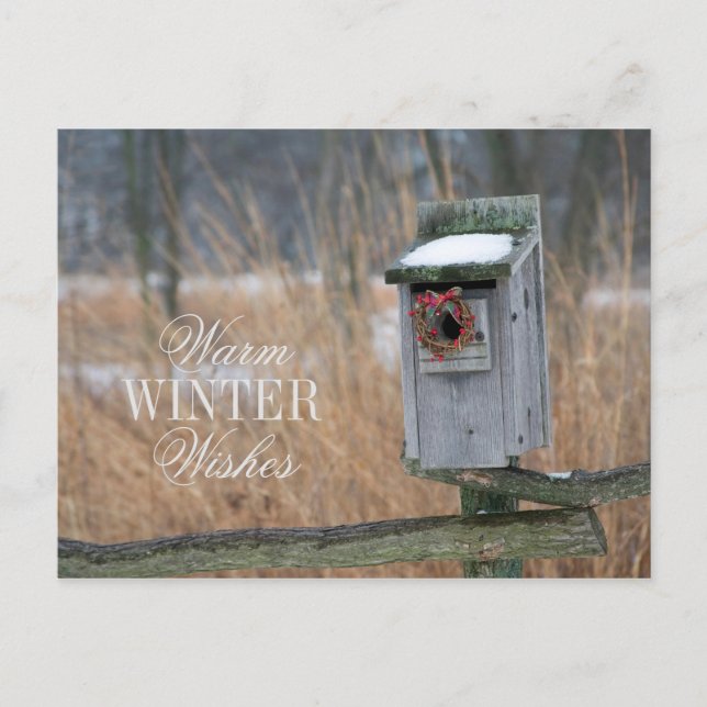 Birdhouse with Holiday Wreath Postcard (Front)