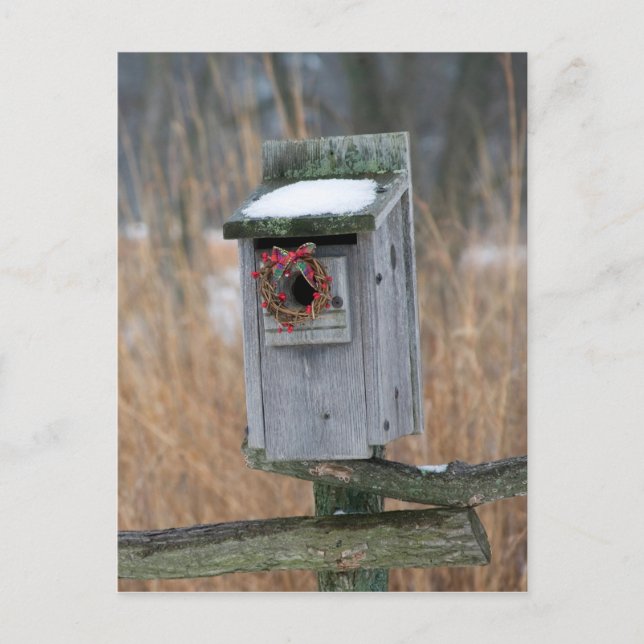 Birdhouse with Holiday Wreath Postcard (Front)