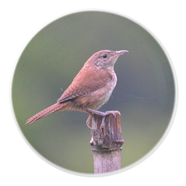 Birdie Ceramic Knob (Front)