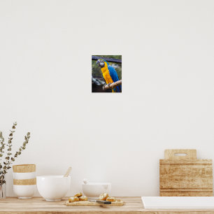 birdie colours bluey poster