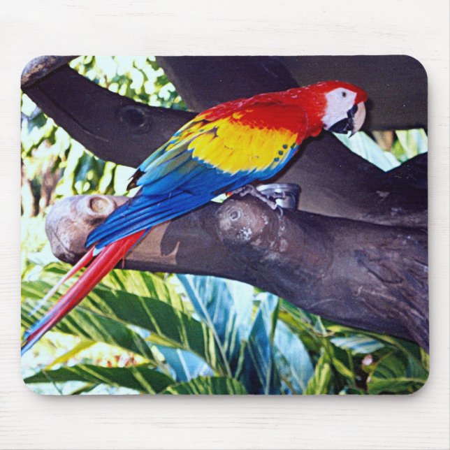 BIRDIE MOUSE PAD (Front)