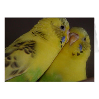 BirdieBird