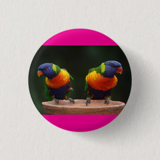 birdies cute 3 cm round badge