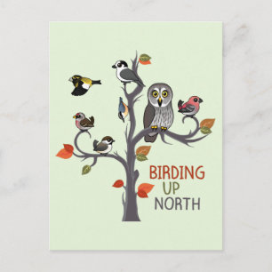 Birding Up North Postcard