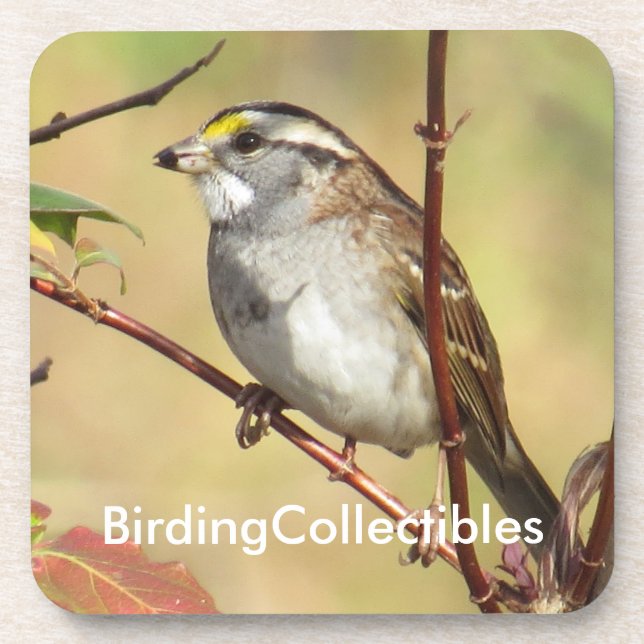 BirdingCollectibles Coaster (Front)