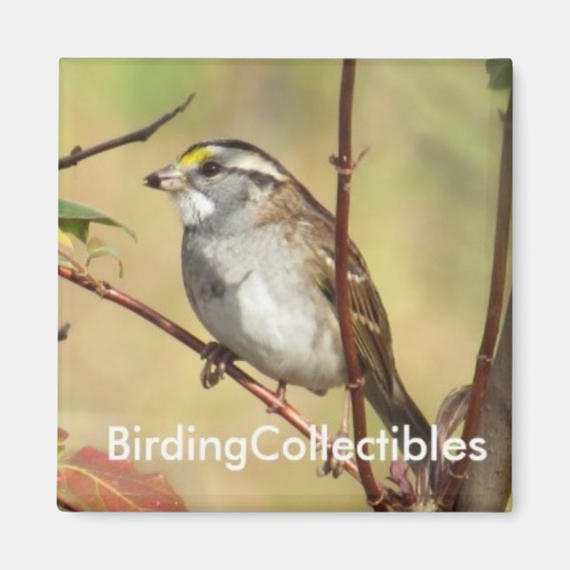 BirdingCollectibles Magnet (Front)