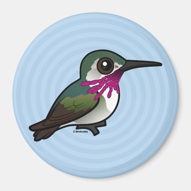 Birdorable Calliope Hummingbird Magnet (Front)