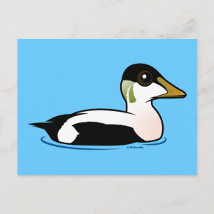 Birdorable Common Eider Postcard