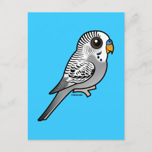 Birdorable Grey Budgie Postcard