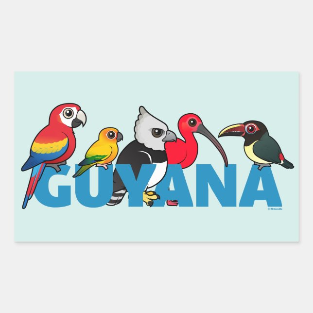 Birdorable Guyana Rectangular Sticker (Front)