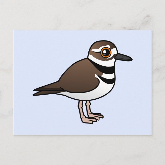 Birdorable Killdeer Postcard (Front)